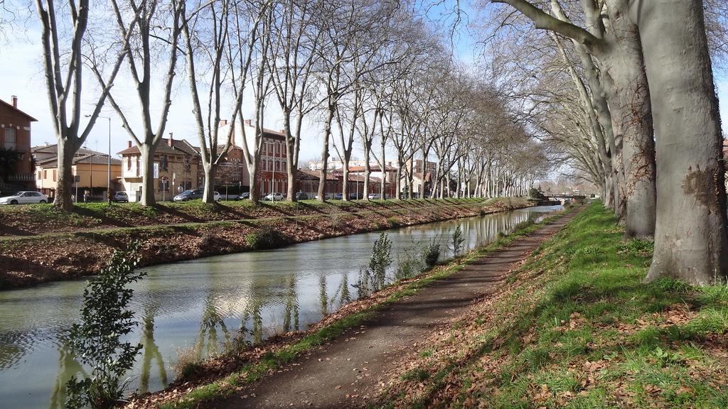 Le Brienne Toulouse Centre Lejlighed Eksteriør billede